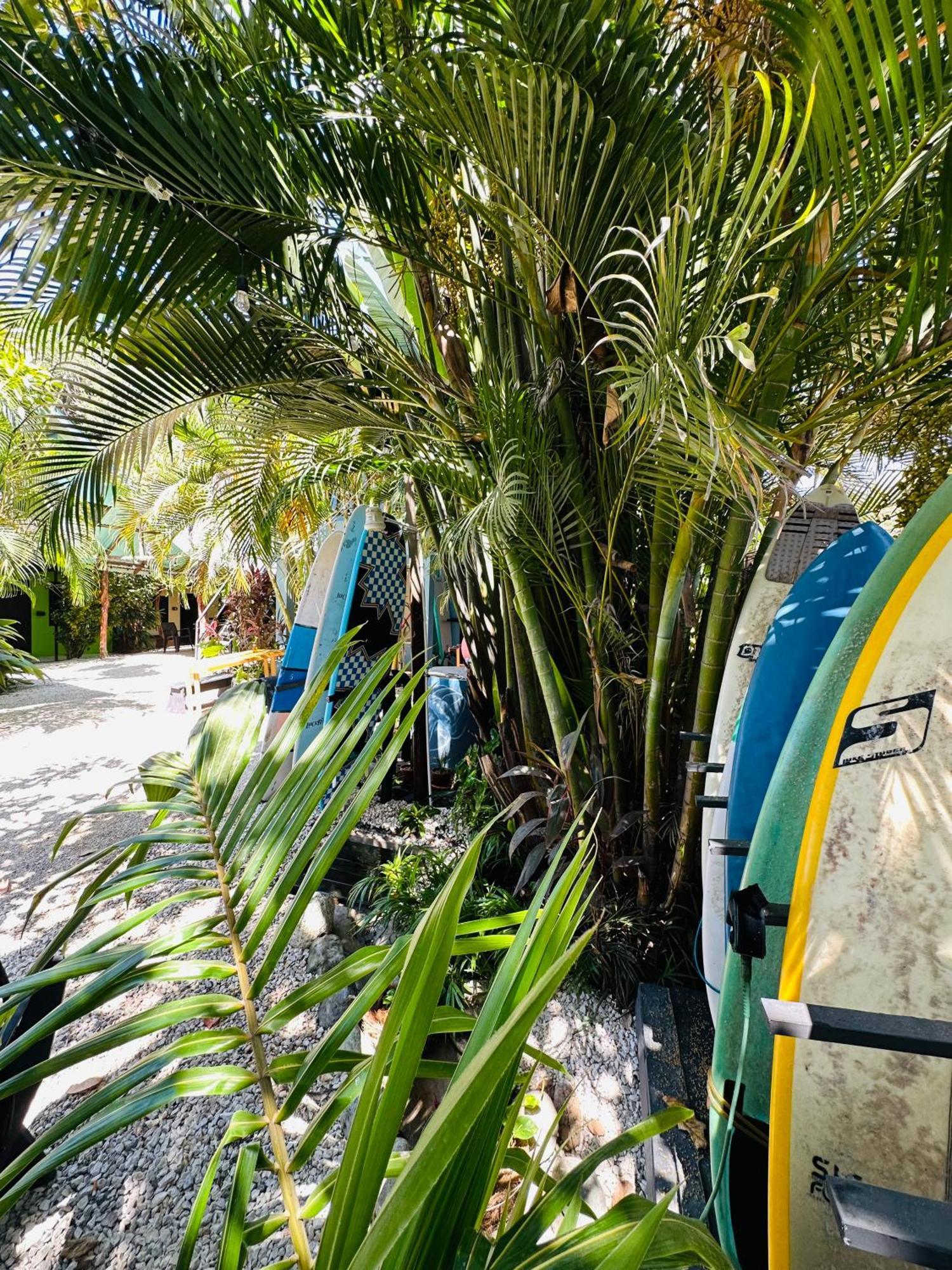 Surf Paradise Playa Santa Teresa  Dış mekan fotoğraf