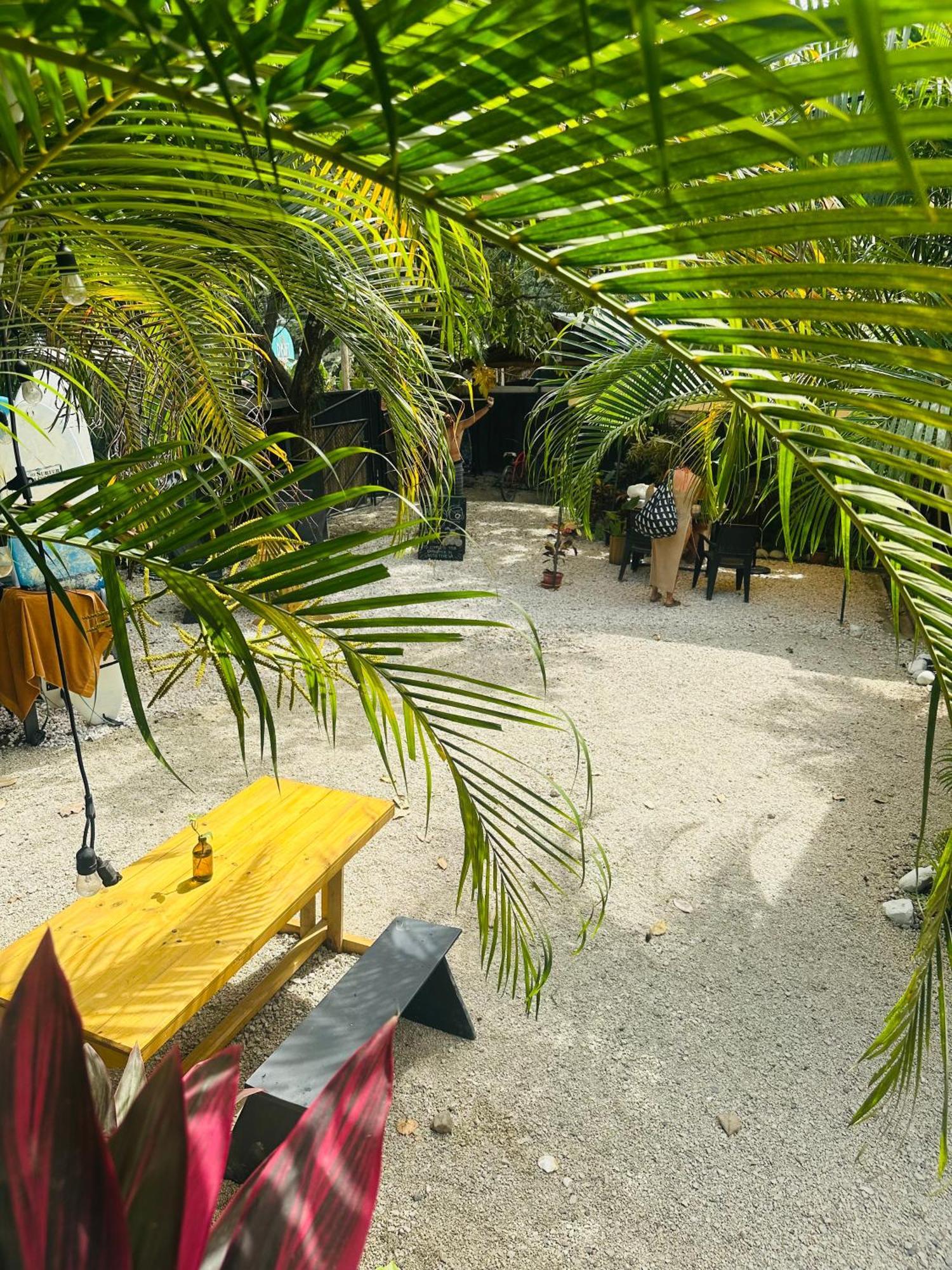 Surf Paradise Playa Santa Teresa  Dış mekan fotoğraf